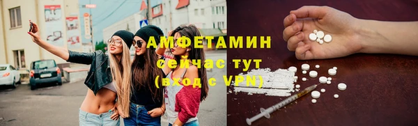 молекула духа Волоколамск