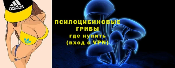 первитин Володарск