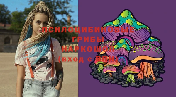 молекула духа Волоколамск