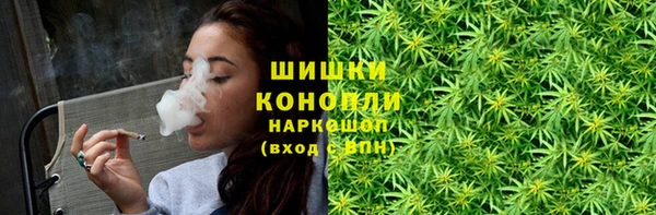 молекула духа Волоколамск