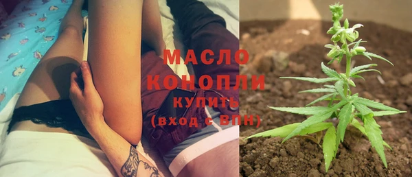 молекула духа Волоколамск