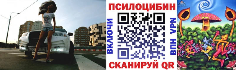 Купить  Красноперекопск  Псилоцибиновые грибы ЛСД 
